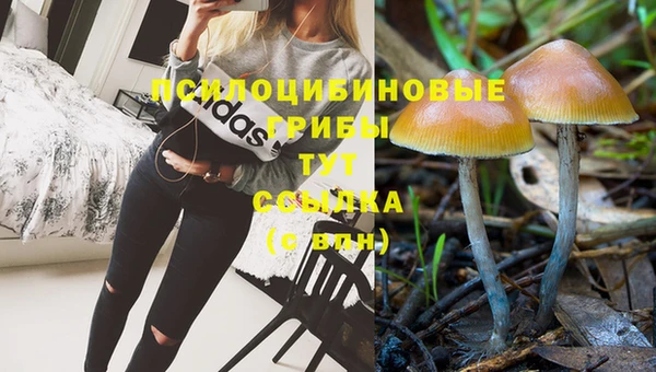 MDMA Белокуриха